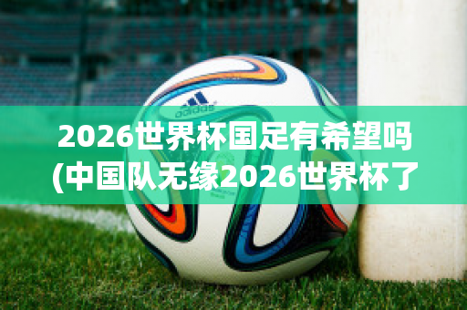2026世界杯国足有希望吗(中国队无缘2026世界杯了吗)