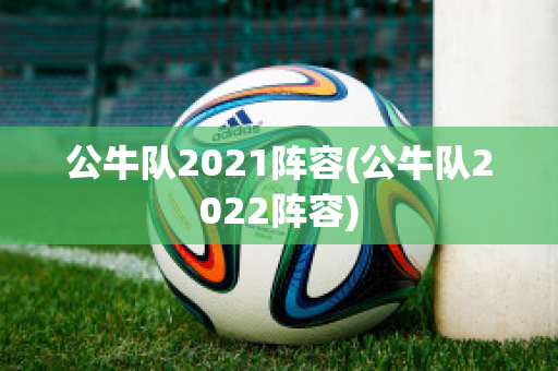 公牛队2021阵容(公牛队2022阵容)